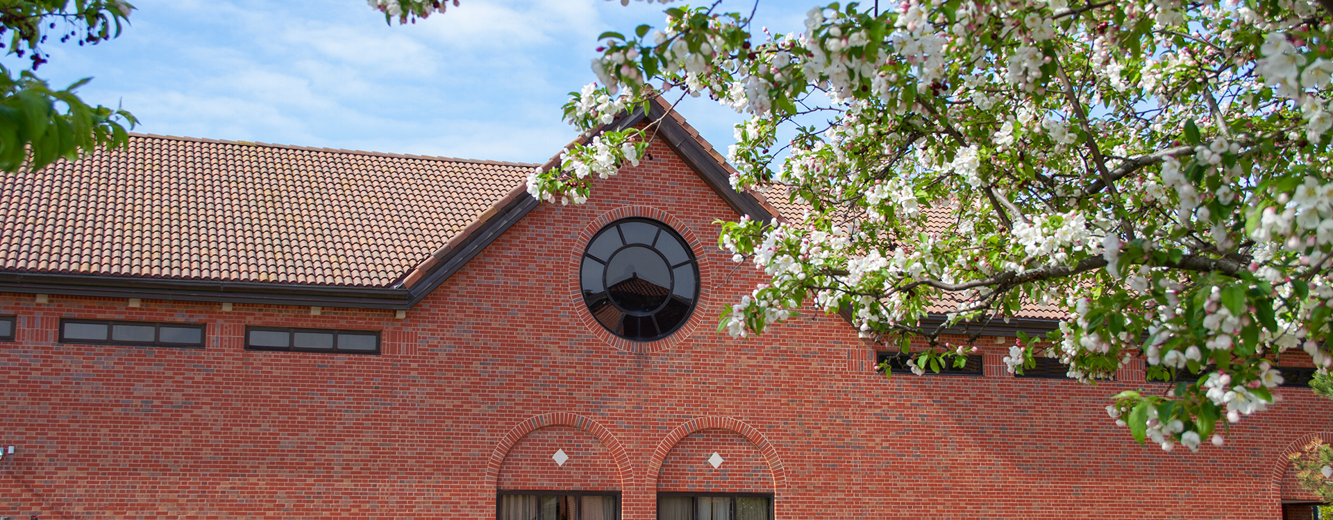 Library in spring